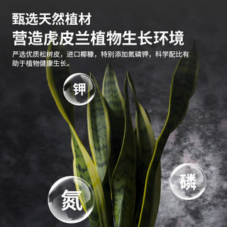 尚洋虎皮兰专用营养土8L园艺种菜养花土绿植兰科颗粒土有机泥炭土壤