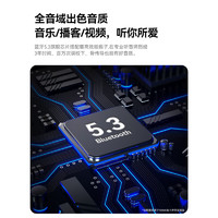 NANK 南卡 Runner Pro4S 骨传导挂耳式蓝牙耳机 暮云灰