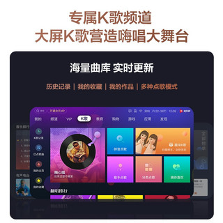 Vidda  海信 麦克风 VM7G-T 海信电视 Vidda电视定制麦克风 天籁K歌 无线麦克风 家庭KTV 双支套装