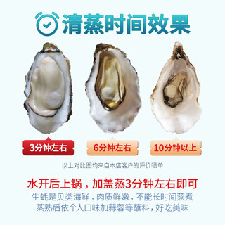 BEISILING 贝司令 鲜活乳山生蚝 单只100g起  12只 箱装 烧烤生蚝