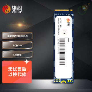 ZHIKE 挚科 A300 1TB SSD固态硬盘 M.2接口PCIe 3.0（NVMe协议）