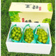 柚萝 日本引进品种阳光玫瑰葡萄 5斤装 单果8-12g