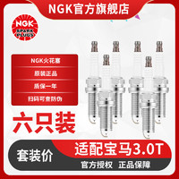 NGK 铱铂金火花塞6支装B58 N55发动机 适用于宝马5系6系7系X5/X6
