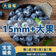 新鲜蓝莓 125g*12盒  单果14+mm