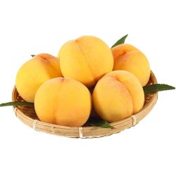 本来果坊湖北枣阳黄金蜜黄毛桃大果45斤新鲜水果桃子脆桃软桃非水蜜桃