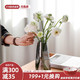KAWASIMAYA 川岛屋 透明玻璃花瓶摆件客厅插花轻奢高档水养小花瓶ins风高级感