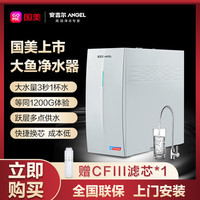 ANGEL 安吉尔 J3369-ROB60T 反渗透纯水机 1200G 银色