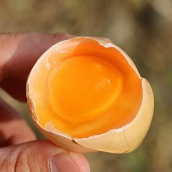 [西沛生鲜]新鲜 谷物蛋 10枚装 农家散养新鲜正宗草鸡蛋笨柴鸡蛋孕妇月子蛋整箱禽蛋