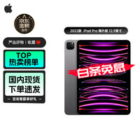 Apple苹果 ipad pro 2022年款 12.9英寸办公学习平板电脑2022新款M2 海外版 22款 12.9寸 黑色 WiFi版 256G