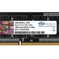 Team 十铨 DDR3 1600MHz 笔记本内存 普条  4GB TED3L4G1600C11-SBK