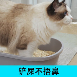 cature 小壳 猫殿下豆腐猫砂2.4kg*6包