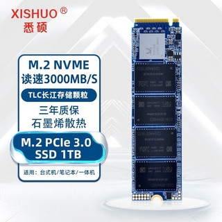 XISHUO 悉硕 1TB SSD固态硬盘M.2接口(NVMe协议)