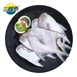 SAN DU GANG 三都港 冷冻东海银鲳鱼550g 平鱼 深海鱼 生鲜 鱼类 海鲜水产 烧烤食材