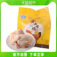 Bright 光明 黄油母鸡1.05kg新鲜食品烧烤食物鸡味浓郁