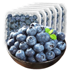 柚萝  新鲜采摘蓝莓 125g*12盒   单果 12-15mm