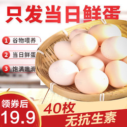 晋龙食品 40枚鸡蛋新鲜鸡蛋(平均单枚45g左右)红心蛋晋龙