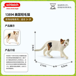 思乐（Schleich S）仿真动物模型 小狗玩具狗狗模型小猫玩具宠物 美国短毛猫13894