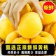 万悠 现摘新鲜黄桃净重4.7斤单果150g起时令新鲜水果现摘黄心毛桃蜜桃