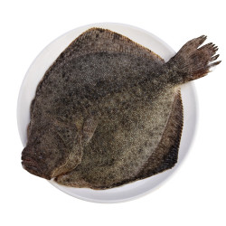 5元】尊利渔海鲜水产_尊利渔 多宝鱼深海鱼冷冻 400g左右/条多少钱