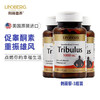 LINDBERG 美国刺蒺藜皂甙胶囊 60粒 3瓶装