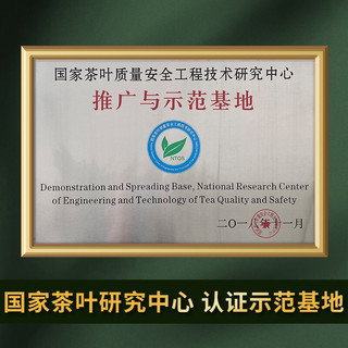 百满 日照绿茶茶叶2023年新茶有机绿茶一级铁桶简装500g浓香型栗香味山东特产