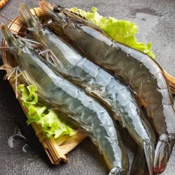 XYXT 虾有虾途 渤海大虾 17-19厘米 4斤
