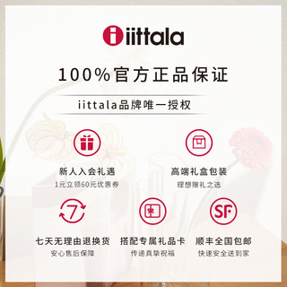 iittala伊塔拉魔幻森林芬兰进口马克杯陶瓷杯咖啡杯对杯