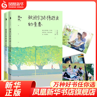 致我们终将逝去的青春.插图纪念版（套装共2册）