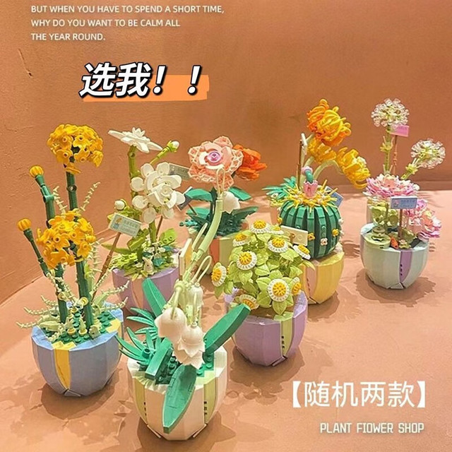 WeLoop 唯乐 积木花多肉拼装盆栽摆件模型创意拼搭女生摆件玩具礼物花间日记 随机可选2款