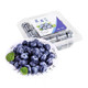 现摘蓝莓125g*12盒装 单果12-14mm下单备注值得买免费升级大果15+mm