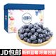 蓝莓 3斤装单果12-14mm 京东生鲜冷链