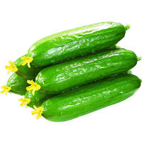 半亩庄园 新鲜小黄瓜 净重5斤