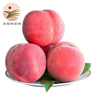 YUBAO 豫宝 灵宝大桃子 水蜜桃  品质水果 脆桃红不软 产地助农家乡味道 5斤桃子