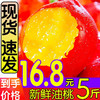赤眉油桃 5斤（净重4.5斤）单果80克起黄肉桃子新鲜水果生鲜水果
