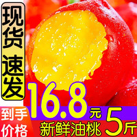 淳果一木 赤眉油桃 5斤（净重4.5斤）单果80克起黄肉桃子新鲜水果生鲜水果