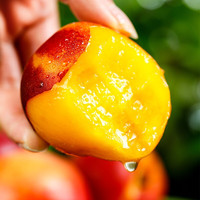 淳果一木 赤眉油桃 5斤（净重4.5斤）单果80克起黄肉桃子新鲜水果生鲜水果