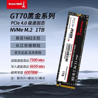 Great Wall 长城 GT70 NVMe M.2固态硬盘 1TB （PCIe 4.0）