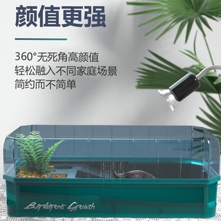 茨格曼 乌龟缸龟缸一体特大号生态循环缸乌龟冬眠箱家用小型养龟箱养龟盆 绿色 大号三层全套装