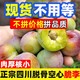  正宗四川脱骨李4.5斤单果20g起彩箱】空心李子半边红青红脆李茵红　