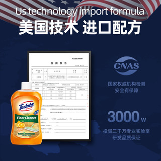 Texlabs 泰克斯乐 地板清洁剂2000ml*2瓶装