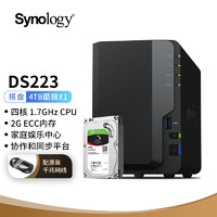 群晖（Synology）DS223搭配1块希捷(Seagate) 4TB酷狼IronWolf ST4000VN006硬盘套装