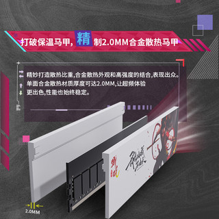 挚科 元素自定义 台式机内存条 DDR5 7800MHz 32GB（16GB*2）
