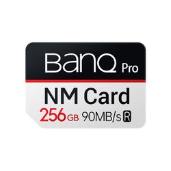 BanQ PRO专业版 NM存储卡 256GB