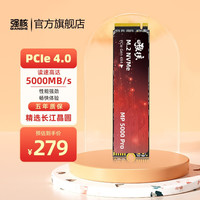 SSD固态硬盘 PCIE台式笔记本电脑M.2接口TLC颗粒(NVMe协议)硬盘 1TB(PCIE 4.0)国产长江存储颗粒