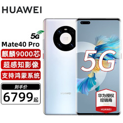HUAWEI 华为 Mate 40 Pro 4G手机 8GB+256GB 秘银色