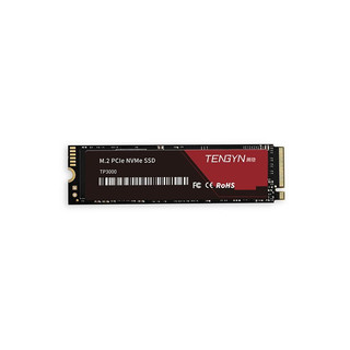 腾隐（TENGYIN）中科院出品 SSD固态硬盘 M.2接口 1TB TP3000