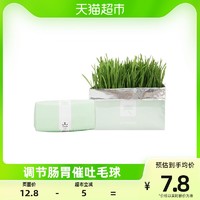 Vetreska 未卡 猫草猫零食益肠去毛球60g/袋无土壤水培种植调理狗尾巴草猫咪