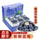 京东冷链 蓝莓 125g*2盒装 15-20mm+