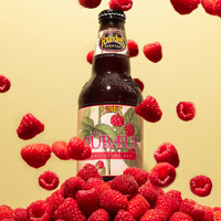 创始者（FOUNDERS）树莓艾尔  精酿果啤 啤酒 355ml*6瓶 整箱装 美国原瓶进口