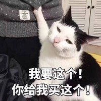 留着过期不如花，让猫超卡找到它的“家”